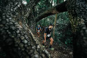 BIB: 
                            <button type="button" onclick="openModal(25391988)" class="btn btn-primary btn-sm float-right btn-popup" data-toggle="modal" data-target=".modal-high-quality">
                        <i class="fas fa-shopping-cart"></i> Add to Cart
                    </button>
                                            <button type="button" onclick="isThisMe(25391988, true)" class="btn btn-success btn-sm float-right btn-popup btn-isme hidden" data-toggle="tooltip" data-placement="bottom" title="นี่คือรูปของคุณใช่ไหม คลิกที่นี่เพื่อเอาเข้าอัลบั้ม">
                        <i class="fas fa-plus"></i> Add to album
                    </button>
                    <button type="button" onclick="isThisMe(25391988, false)" class="btn btn-warning btn-sm float-right btn-popup btn-isnotme hidden">
                        <i class="fas fa-ban"></i> Remove from album
                    </button>